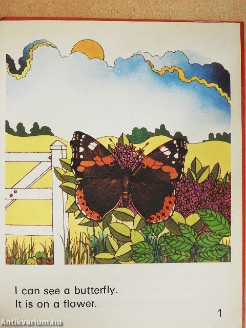 Butterflies