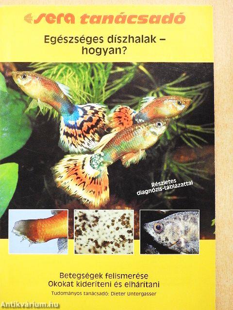 Egészséges díszhalak - hogyan?