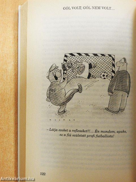 Gól volt, gól nem volt...