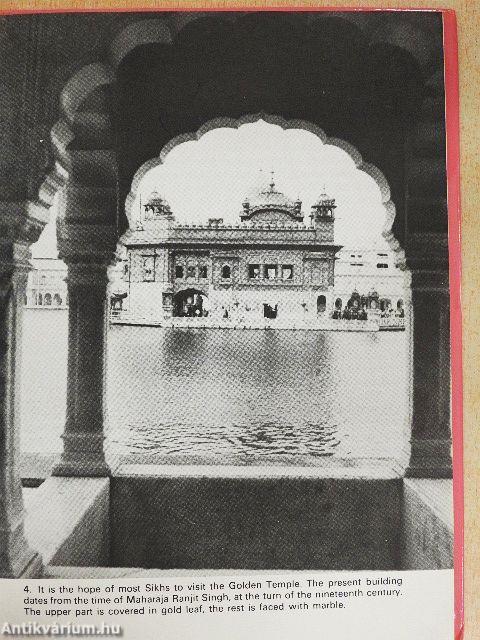 Thinking About Sikhism