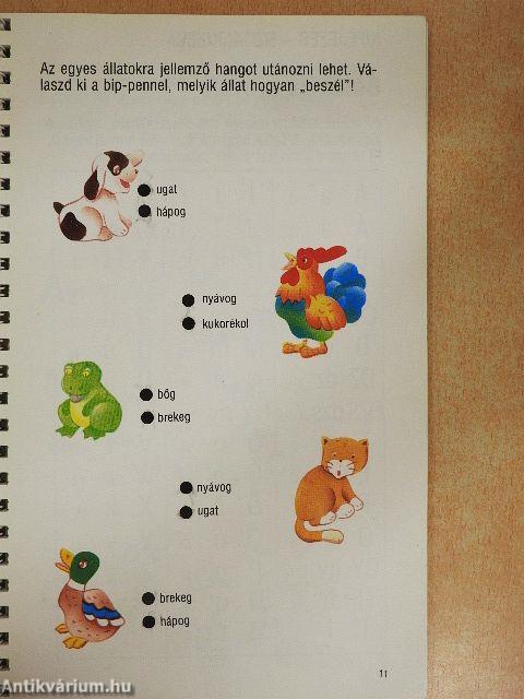 Jön a suli!