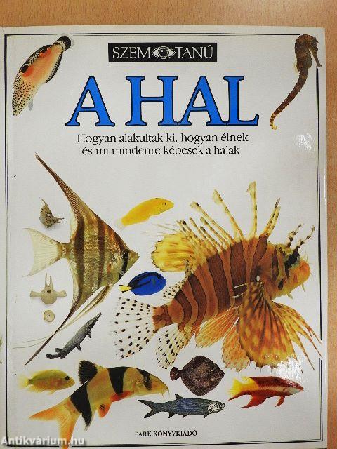A hal 