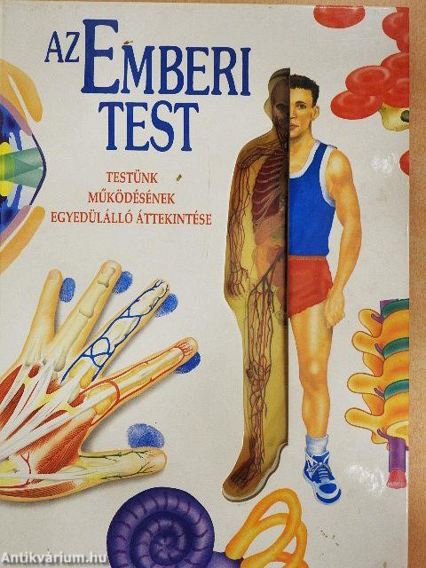 Az emberi test
