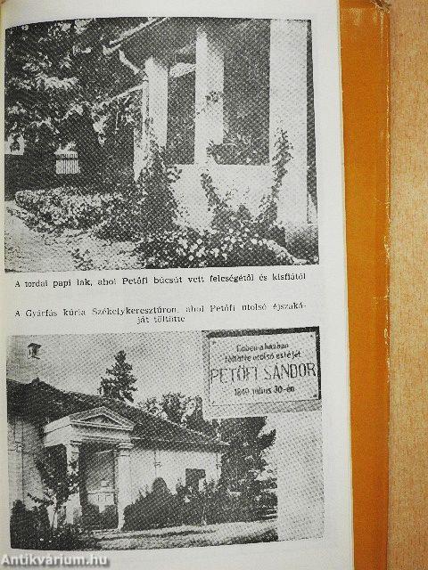 Koltói ősz
