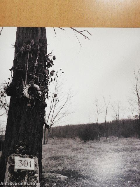 1989. június 16. - A temetés