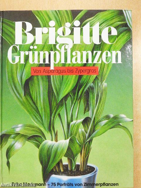 Brigitte Grünpflanzen