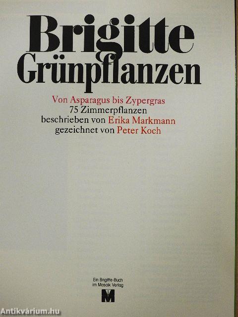 Brigitte Grünpflanzen