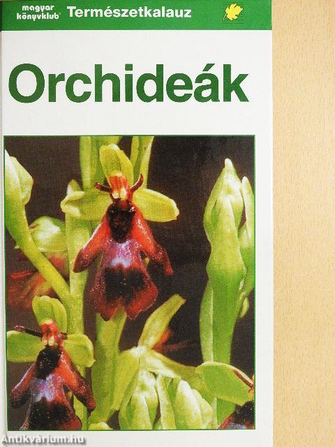 Orchideák