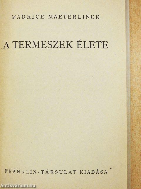 A termeszek élete