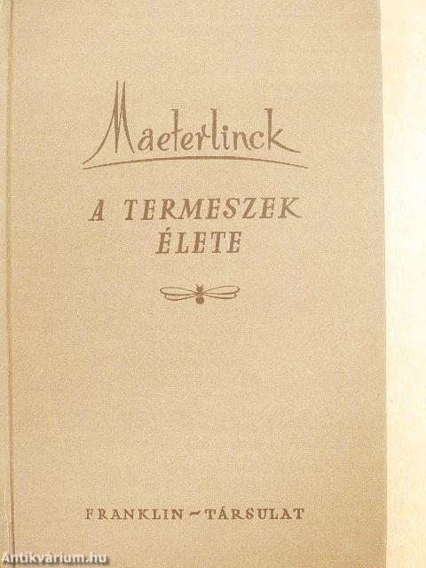 A termeszek élete