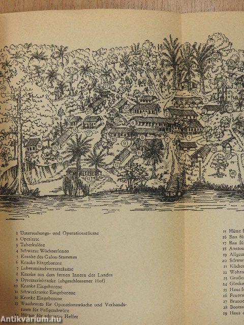 Lambarener Tagebuch