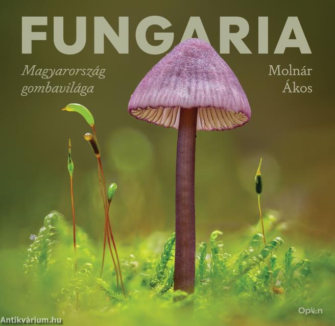 Fungaria