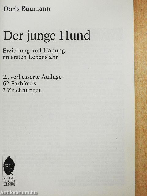 Der junge Hund