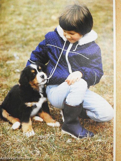 Der junge Hund
