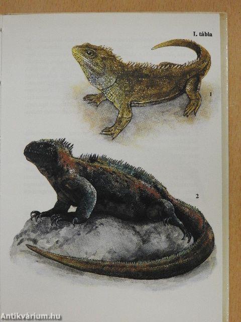 Egzotikus hüllők