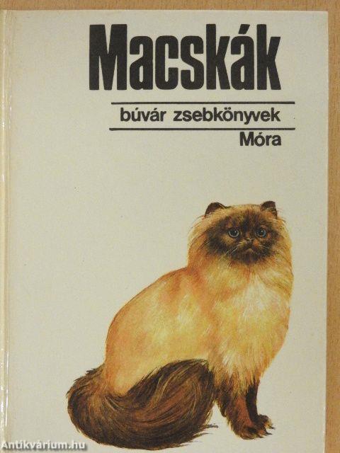 Macskák