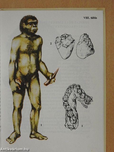 Emberelődök
