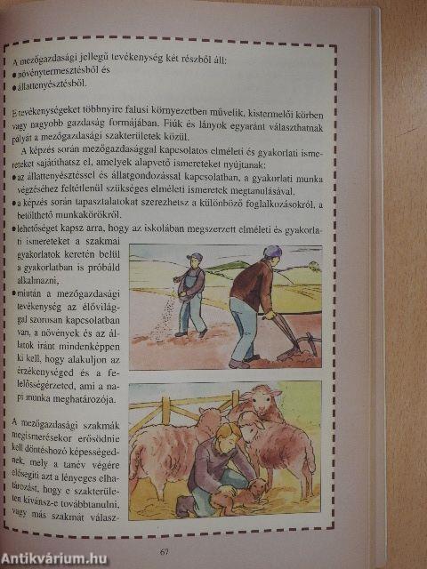 Pályaorientáció 9.
