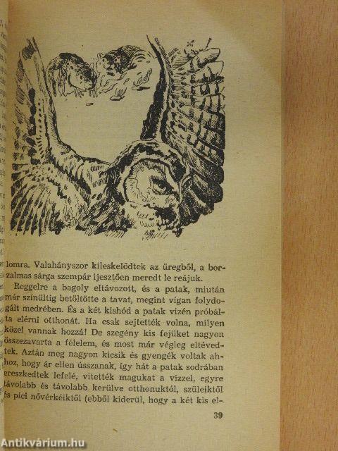 Két kicsi hód