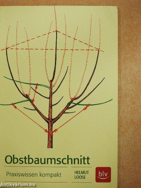 Obstbaumschnitt