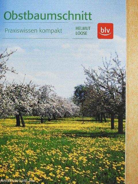 Obstbaumschnitt