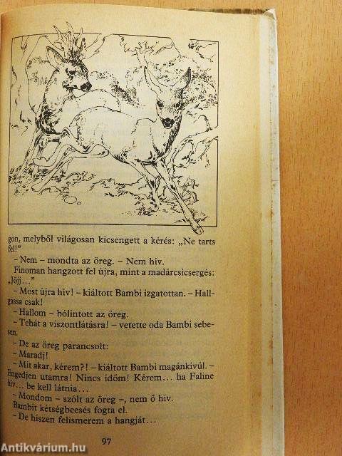 Bambi