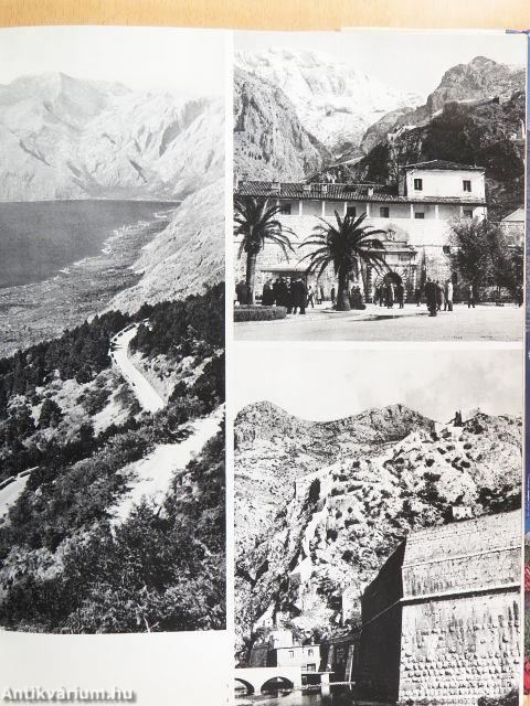 Kotor