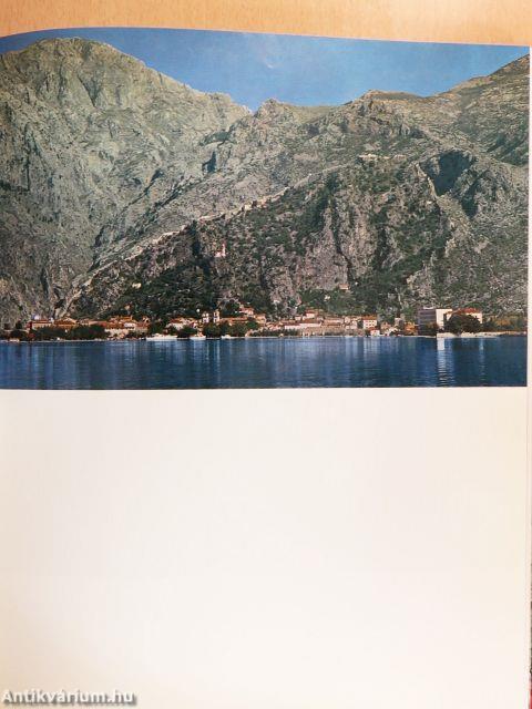 Kotor