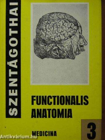 Functionalis anatomia 3.