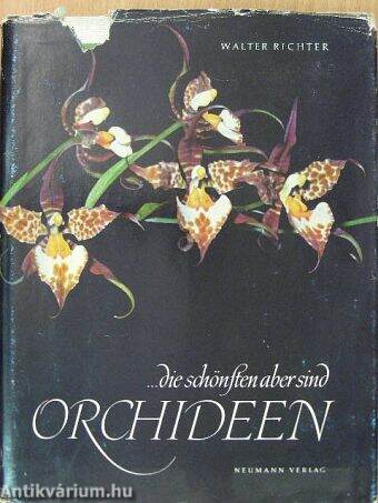...die schönsten aber sind Orchideen
