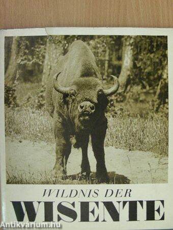 Wildnis der Wisente