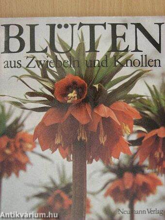 Blüten aus Zweibeln und Knollen