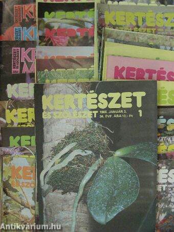 Kertészet és Szőlészet 1985. (nem teljes évfolyam)/Kertbarát Magazin 1985. Nyár/Tavasz/Ősz-Tél (40 db)