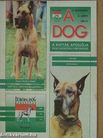 A Dog 1995/3.