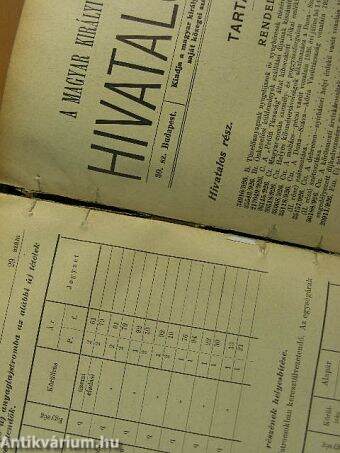 A Magyar Királyi Államvasutak Hivatalos Lapja 1926. január-december/Magyar Királyi Államvasutak Igazgatóságának körrendeletei 1926.