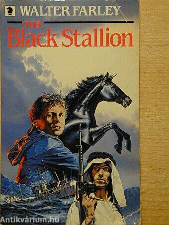 The Black Stallion