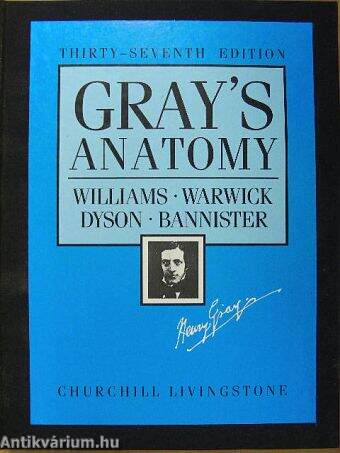 Gray's Anatomy