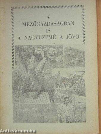 A mezőgazdaságban is a nagyüzemé a jövő