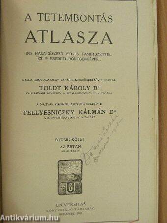 Toldt - A tetembontás atlasza V.