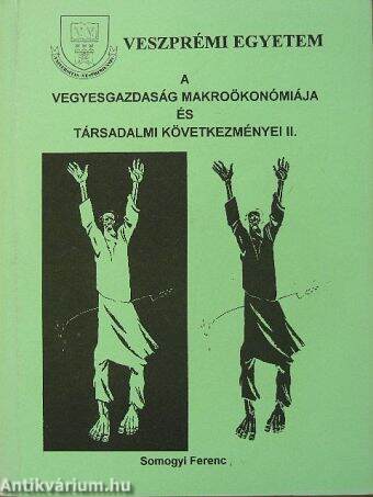 A vegyesgazdaság makroökonómiája és társadalmi következményei II.