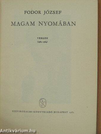 Magam nyomában