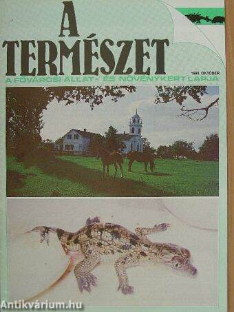 A Természet 1990. október