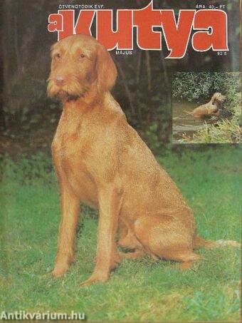 A Kutya 1992. május