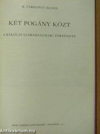 Két pogány közt