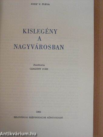 Kislegény a nagyvárosban