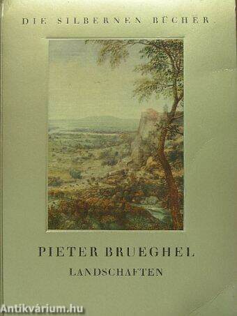 Pieter Brueghel landschaften