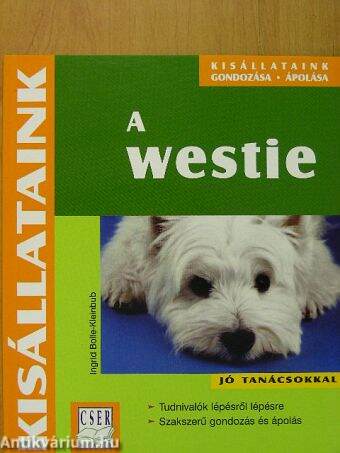 A westie