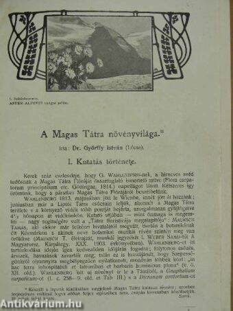 Turistaság és Alpinizmus 1913. + két szám