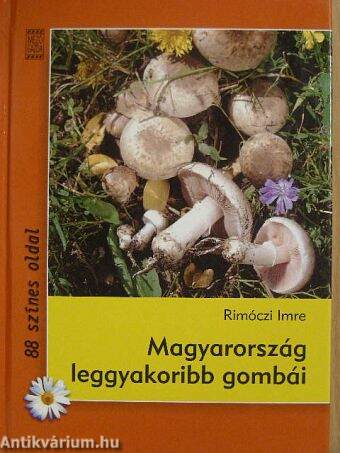 Magyarország leggyakoribb gombái