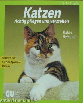 Katzen richtig pflegen und verstehen